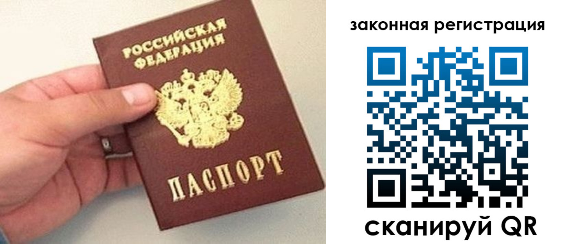 прописка для школы в Сертолово